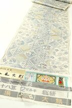 【和遊館】KTH418　超逸品名匠「入来玄彩」本場白大島紬着尺 12マルキ 総絣_画像1