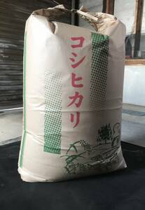 美味しい～ 新潟産 令和 5 年 ★ コシヒカリ 新米 30 kg