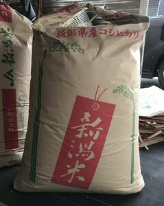 うっまぃ～ 新潟産 コシヒカリ 新米 ☆ 令和 5 年 30 kg
