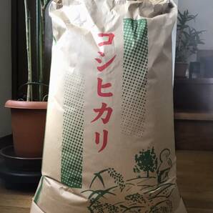  超 美味しぃ～新潟産コシヒカリ 新米☆ 令和 5 年 30 kgの画像1