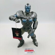 中古品 ワーナーブラザーズストア 1997 バットマン＆ロビン BATMAN&ROBIN ミスター フリーズ Mr.FREEZE ソフビ フィギュア_画像2