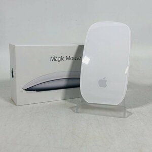 Apple Magic Mouse2 MLA02J/A