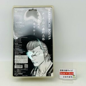 新品難あり ダイブ クローズ&WORST Flash Back Generation P.A.D 県南の抗争編 坊屋春道 CROWS NIGHT LIMITED EDITIONの画像3