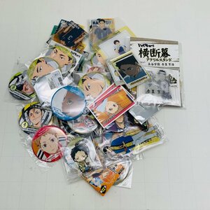 ジャンク ハイキュー 横断幕 アクリルスタンド 缶バッジ ラバスト 等 グッズ まとめ セット