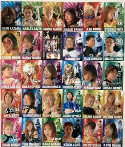 future Bee 2001 女子プロレス　　トレーディングカード　94枚