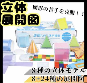 立体展開模型　算数　小学校受験・中学校受験　知育玩具　STEAM 教育　展開図 お受験