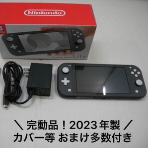 【極美品】 Nintendo Switch Lite 本体 グレー 2023年製 完動品 その他 カバー等 おまけ付き