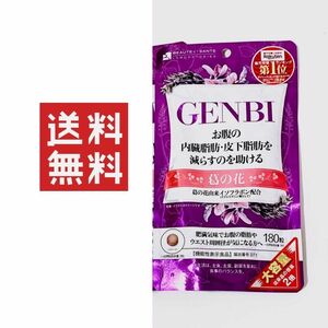 GENBI 葛の花 大容量 180粒(60日分) ★平日毎日発送★ ナップルやメタバリア愛用の方にも是非！ げんび 機能性表示食品