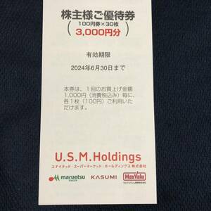 U.S.M.H(ユナイテッド・スーパーマーケット)株主優待券 3,000円(100円券×30枚)×1冊分 有効期限2024年6月30日【送料無料】 