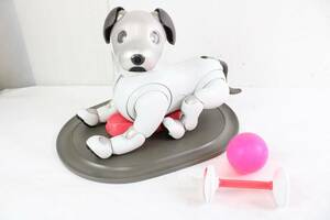 ソニー アイボ ERS-1000 AIBO アイボーン ボール 犬型 ロボット ペット SONY IT5U443D3GA4-YR-S78-byebye