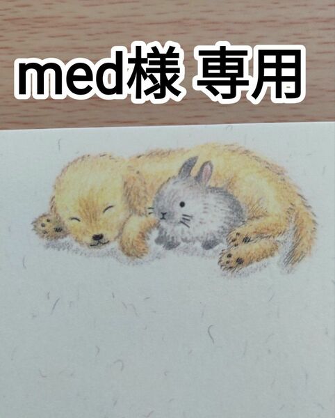 【med様 専用】【美品】一筆箋　3冊セット　＆　絵はがき３２枚セット