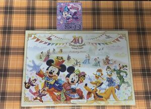 リゾートライン パルパルーザ ミニーのフリーきっぷと40周年グランドフィナーレデザインの台紙付きフリーきっぷ 