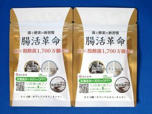 【送料無料】腸活革命 協和食研 31粒入り×2袋【酪酸菌配合】