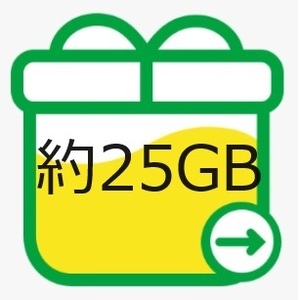 mineo マイネオ パケットギフト 約25GB 送料無料 200円OFFクーポンをお持ちの方におすすめ