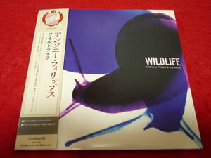 ANTHONY PHILLIPS＆JOJI HIROTA/WILDLIFE★アンソニー・フィリップス/ワイルドライフ★国内盤/紙ジャケ/全45曲/GENESIS