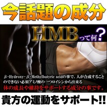 HMB サプリメント ダイエット トレーニング ジム 筋トレ 運動 体脂肪率 筋肉 BCAA アミノ酸 たんぱく質 スポーツ 体型キープ フィットネス_画像3