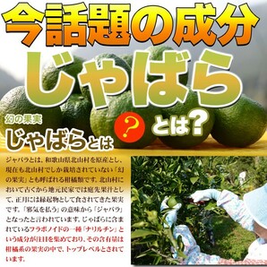 じゃばらサプリメント 大容量 天然ハーブ サプリ 柑橘系 果実 ナリルチン 植物繊維 ジャバラエキス マヌカハニー フラボノイド 国産 日本製の画像4