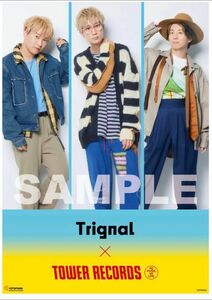 Trignal×TOWER RECORDS B2コラボポスター