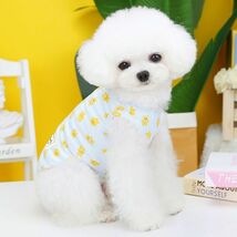 イエローSサイズ◆【残り数枚】犬服 くまさん柄 タンクトップ 熊 カットソー シャツ 新品 トップス 新作 ドッグウェア 総柄 ペットグッズ_画像9