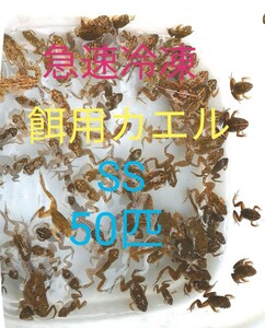 【冷凍】SS 餌用カエル ヌマガエル 50匹 エサ用 爬虫類 蛇の餌 大型魚の餌 ヘビの餌 亀の餌