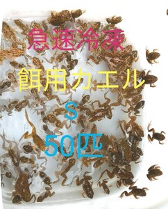 【冷凍】S 餌用カエル ヌマガエル 50匹 エサ用 爬虫類 蛇の餌 大型魚の餌 ヘビの餌 亀の餌