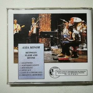 【CD】Asia Minor - Between Flesh And Divine 1980年(1991年フランス盤) フランスシンフォプログレ名盤 の画像2