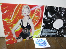 US-original Hard Candy 2LP+12inch+CD Madonna マドンナ アナログレコード　vinyl_画像3