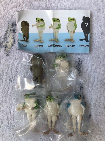 整列アマガエル 全5種フルコンプリートセット