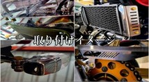 Hanasho M6真鍮ボルトセット アクセサリーボルト ナンバーボルト ブラス 真鍮パーツ 旧車 絶版車 2対セット Z1 Z2 CBR CBX XJ FX GP KH 6_画像2