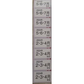 東京テアトル 株主優待券 8枚 男性名義 有効期間2024年2月1日～2024年7月31日の画像2