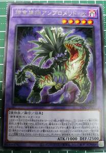 捕食植物アンブロメリドゥス　 DIFO 遊戯王