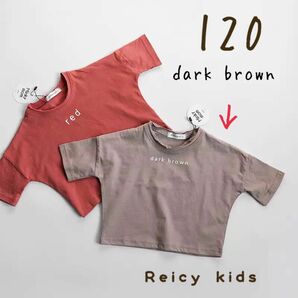 【新品】Tシャツ 半袖 120 キッズ シンプル ロゴT くすみカラー 男の子 女の子 五分袖 5分袖 薄手 子供 子ども 子供服