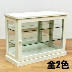 【新品 送料無料】 コレクションケース　全2色　横型　ショーケース　ガラスケース　フィギュアケース　クリアケース　コレクター　収納