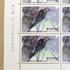 切手シート 特殊鳥類シリーズ第5集 オーストンオオアカゲラ 60円切手20枚 191の画像2