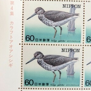 切手シート 特殊鳥類シリーズ第4集 カラフトアオアシシギ 60円切手20枚 188の画像2