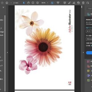 【実績多数・日本語正規版です】 Adobe CS2 Illustrator  Win10/11で動作確認済み 簡単図解インストール・起動手順付きの画像3