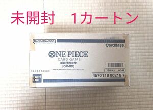 ONE PIECE ワンピースカードゲーム 新時代の主役 　OP-05 第5弾　1カートン　伝票剥がし跡なし