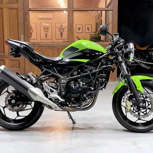 ★土日限定価格★ Ninja250SL レストアベース★動画★BEET製バクステ/マーシャル製ライト/ブレンボ製キャリパー/セパハン装備 4586ニンジャの画像1