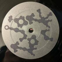 オリジナル盤 Bjork Medulla レコード ビョーク メダラ オリジナル LP vinyl アナログ_画像5