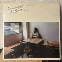 Lou Courtney I'm In Need Of Love レコード LP ルー・コートニー vinyl アナログ_画像1