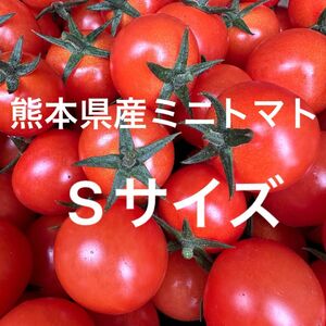 熊本県産 ミニトマト Sサイズ 900g 新品種 TYみわく