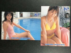 水谷 さくら　メディアプロジェクト 2003　66・75　２枚セット　グラビア アイドル トレカ トレーディングカード