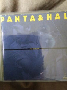 PANTA&HAL TKO NIGHT LIGHT Pantah &HAL Pantah & Hal 