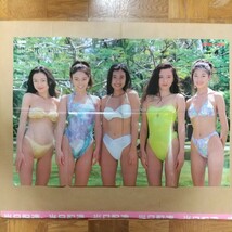 中々出回らない ハイレグビキニ デビュー頃の藤原紀香 ８人 1995年カレンダー 切り抜き ポスター 坂木優子 吉野公佳 木内あきら 宮内知美ら_画像6