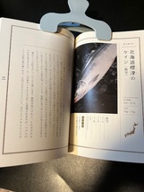 古本　日本一の魚屋「根津松本」に選ばれたこの世でいちばん旨い魚　早川光　松本秀樹_画像5
