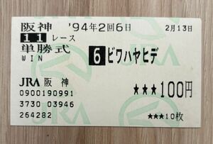 ビワハヤヒデ 1994年京都記念 現地単勝的中馬券