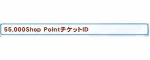 ラグナロクオンライン 55000shoppoint チケット コスタマ他