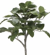 光触媒　人工観葉植物　ウォールグリーン　フェイクグリーン　ベンガル菩提樹1.35_画像3