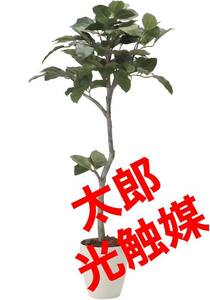 光触媒　人工観葉植物　ウォールグリーン　フェイクグリーン　ベンガル菩提樹1.35