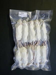 国産冷凍マウス アダルトLL 10匹